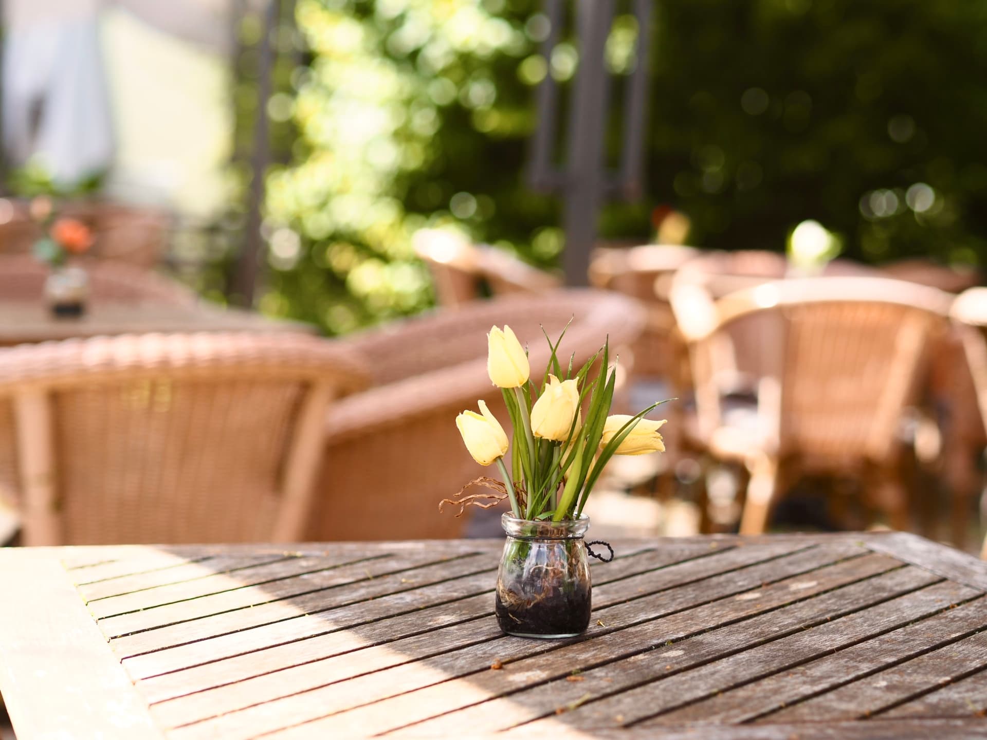Lovingly decorated dining room at Café Panini